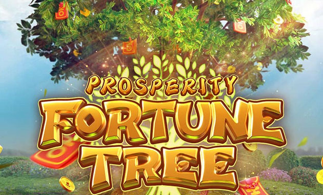 Tutorial Main Game Slot Online Tree of Fortune Hingga Menang